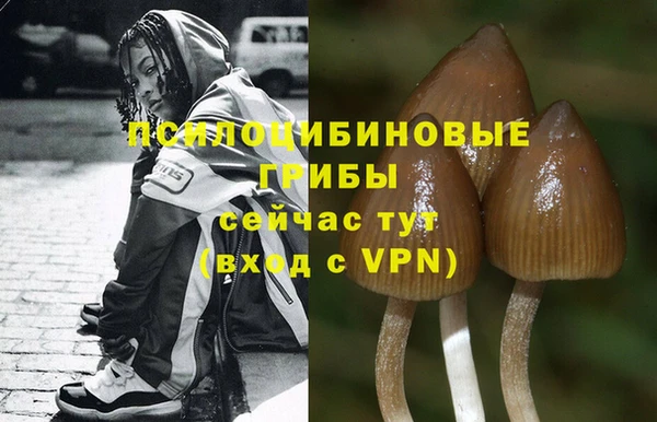 бошки Арсеньев