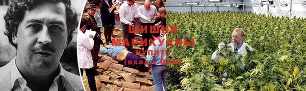 MDMA Premium VHQ Армянск