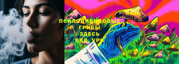 бошки Арсеньев