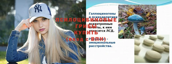бошки Арсеньев