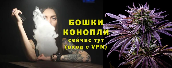 бошки Арсеньев