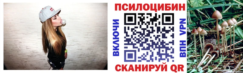 Галлюциногенные грибы MAGIC MUSHROOMS kraken зеркало Родники